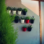 Nineteen Apartment